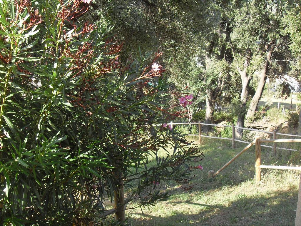 Chambres Le Relais De Sisco Dış mekan fotoğraf