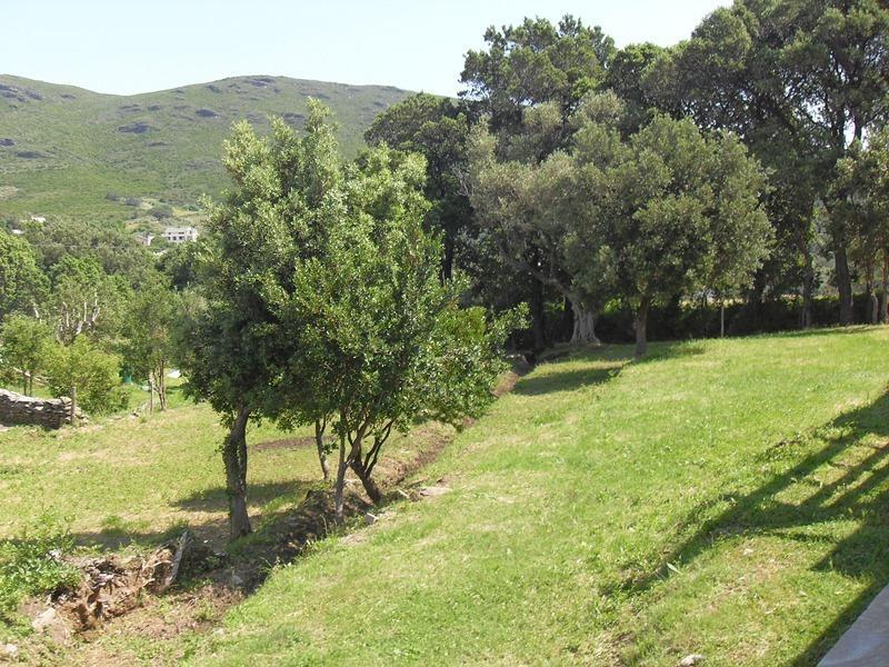 Chambres Le Relais De Sisco Dış mekan fotoğraf